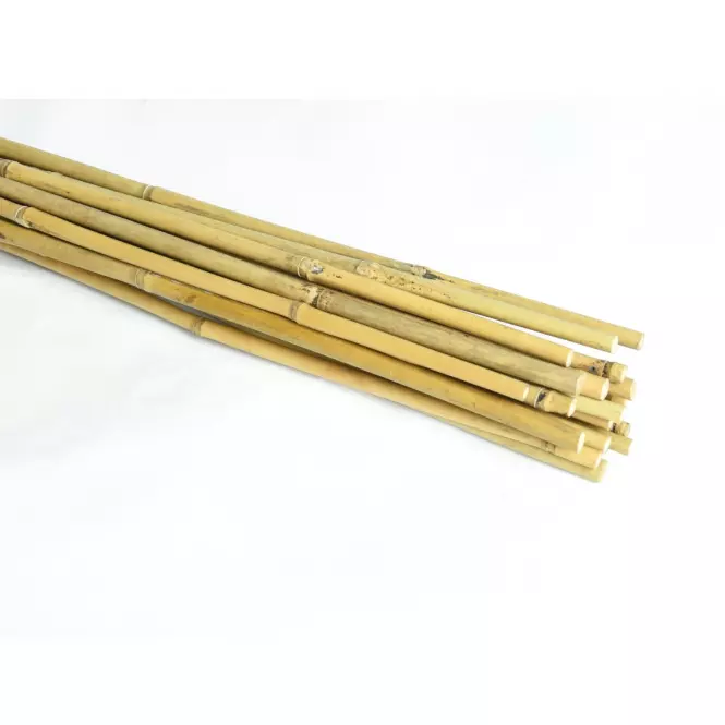 Bambusové kolíky 150 cm 12/14 mm  20 ks