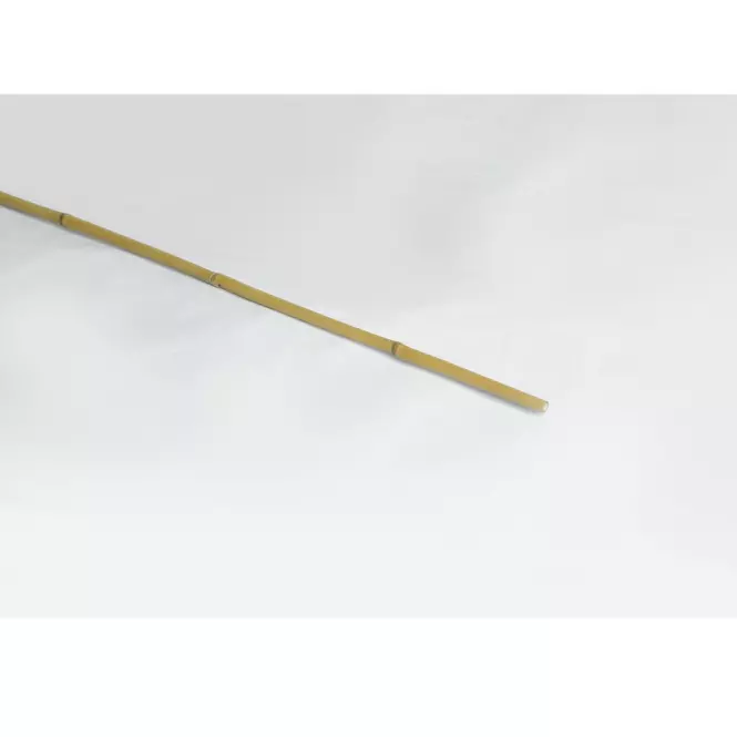 Bambusové kolíky 150 cm fi 12/14 mm
