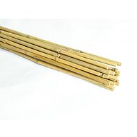 Bambusové kolíky 180 cm 14/16 mm  10 ks