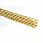 Bambusové kolíky 90 cm 08/10 mm  20 ks