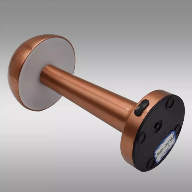Stolná lampa ISA 49020 PINK-GOLD USB LB1