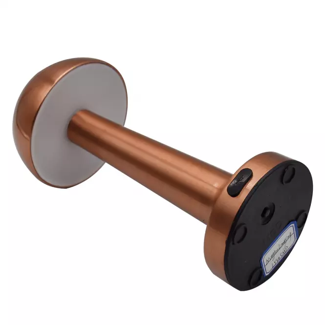 Stolná lampa ISA 49020 PINK-GOLD USB LB1