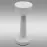 Stolná lampa LIRA 49022 WHITE USB LB1