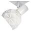 Stropné bodové svietidlo Puzzle 4 AS-PUE144W white LS4,3