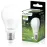 Žiarovka Lumiled A60 8W 840 E27 4000K