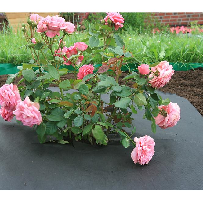 Mulčovacia agrotextília AGRO-NOVA 3,2 x 100