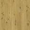 Vinylová podlaha SPC Ceramin All About Eco Dub Baltic 65006 4mm 23/34