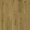 Vinylová podlaha SPC Ceramin All About Eco Dub Parisian 65007 4mm 23/34