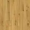 Vinylová podlaha SPC Ceramin All About Eco Dub Venice 65008 4mm 23/34