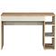 Písací stôl Camari 1S Dub Artisan/Casmhere,4