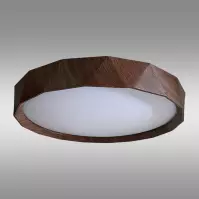 Stropnica WALD 1382 34W LED PL1