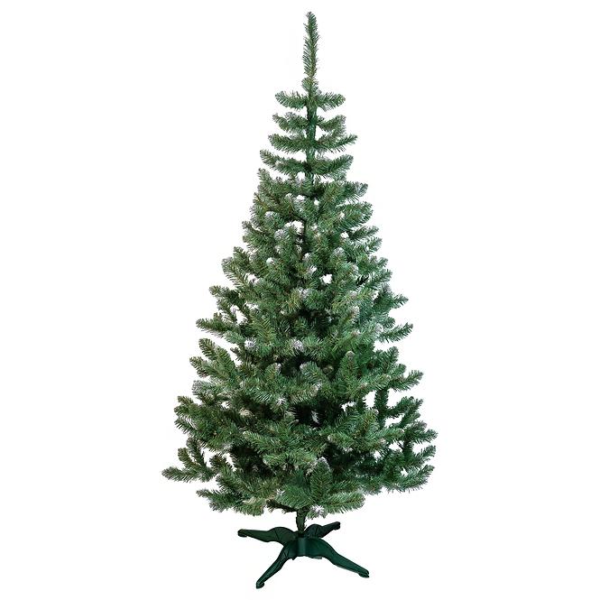 Vianočný stromček borovica extra 220 cm