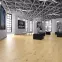 Laminátová podlaha Dub Oviedo 8mm AC4 Exclusive 50524,4