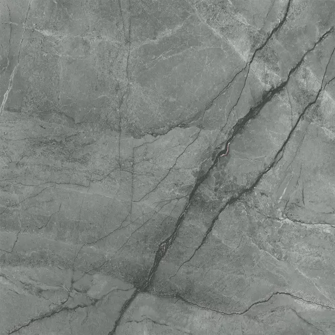 Silver Heels Graphite Matt 59,8x59,8 Rect.
