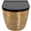 Závesná WC misa Carlo Mini Riml duroplast/Flat/Zm Brush Gold/Black,2