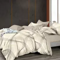 Obliečky z mikrovlákna ALBS-7372 200x220 Lasher