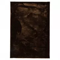 Koberec Shaggy Microfiber RS-BSR 1,6/2,3 hnedá