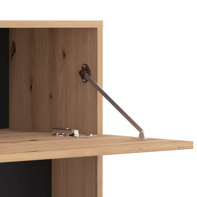 TV stolík Orense Artisan/Čierna 11008243
