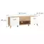 TV stolík Bretagna Artisan/Biela 11012053,2