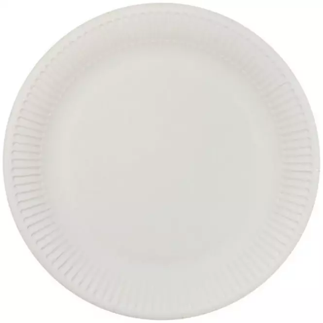 Papierové taniere pr. 23 cm (10 kusov)