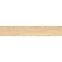 Balton Wood Cream 19,8/119,8 Rect. GPT1113,3