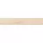 Scalwood Cream 19,8/119,8 Rect. GPT1105