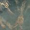 Obliečka Plain Velvet 40x40 YX503 zelená,2
