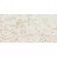 Caramell Ivory Gloss 59,8/119,8    