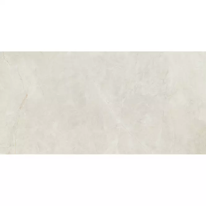 Visine White Gloss  59,8/119,8                         