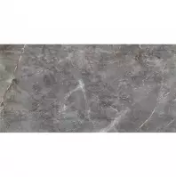 Visine Grey Gloss 59,8/119,8                          