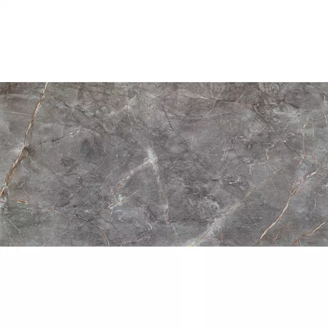 Visine Grey Gloss 59,8/119,8                          