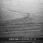 Laminátová podlaha Dub Comedy 8mm AC5 Movie Aqua Zero 72h 40354,5