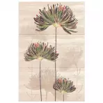 Obklad Dekor Savoy flower top 90/60 3el.