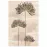 Obklad Dekor Savoy flower top 90/60 3el.
