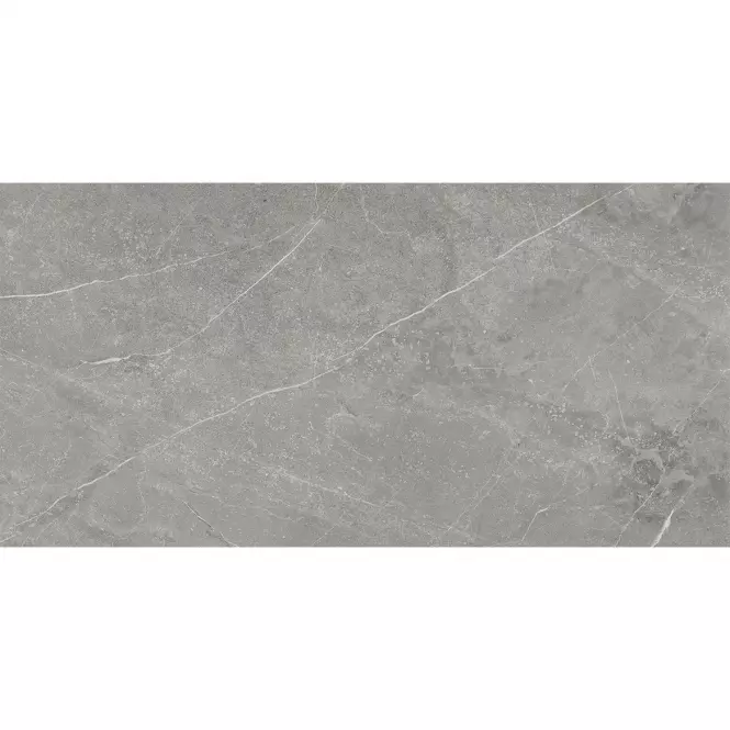 Wermex Light Grey 59,8/119,8