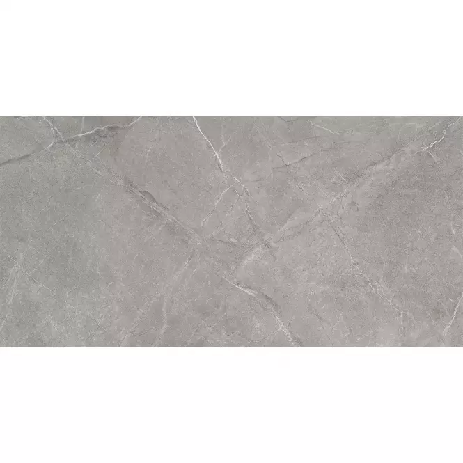 Wermex Light Grey 59,8/119,8