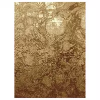 Koberec Bcf New Shiraz 1,6/2,3 2001 4073 B55 