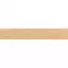 Oceanwood (GPT1116) Warm Beige 19,8/119,8,4
