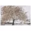 Obraz 60x90cm Art1310741 Mdf-1008