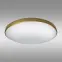 Svietidlo Q - 242CP Led 24W