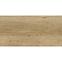 Starwood Beige 29,8/59,8,3