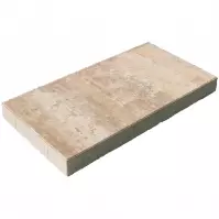 Betónová dlažba Lamos mušlový vápenec 60x30x5 cm
