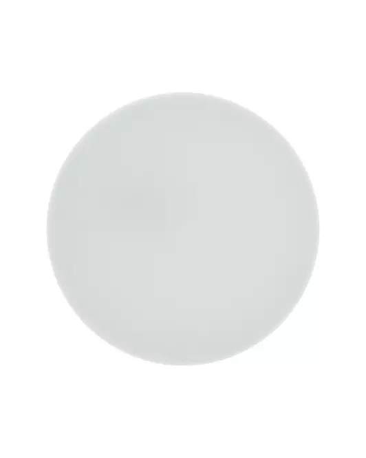 Stropné svietidlo LED QTEC Q-220CP Rima 10W 4000K biela