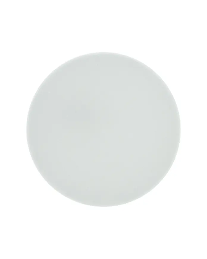 Stropné svietidlo LED QTEC Q-220CP Rima 10W 4000K biela