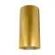 Digestor WK-10 Balmera Wl Slim Zlato,2