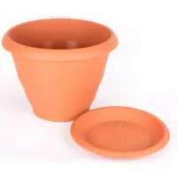 terakota