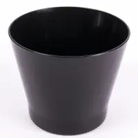 čierna