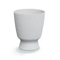 biela
