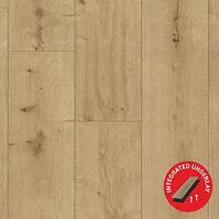 Vinylová podlaha SPC+IXPE Dub Galicus 5mm Vinylová podlaha SPC+IXPE Dub Galicus 5mm
