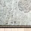 Behúň 80 Phoenix 5004 741,6